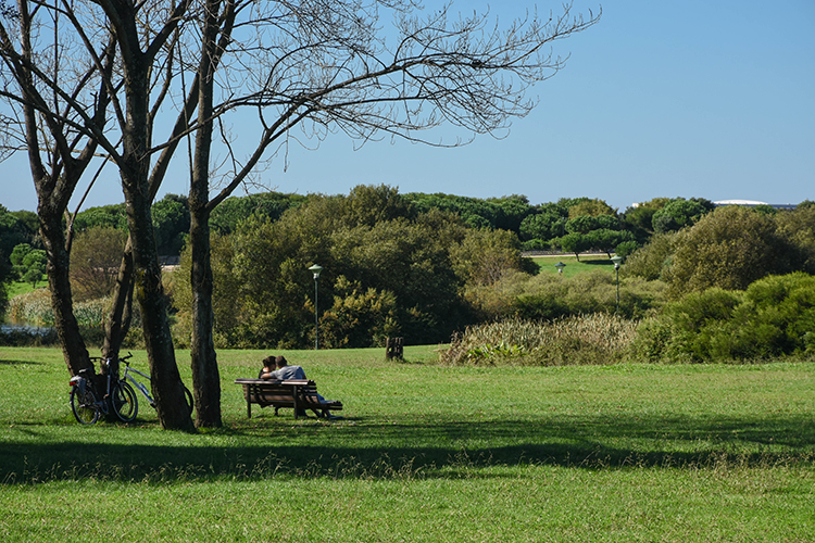 City Park - Gardens and Parks