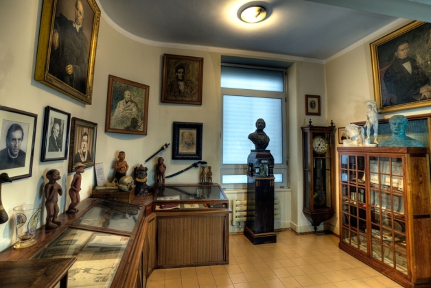 Museum of Anatomy of Porto´s University Faculty of Medicine - Museums & Thematic Centres
