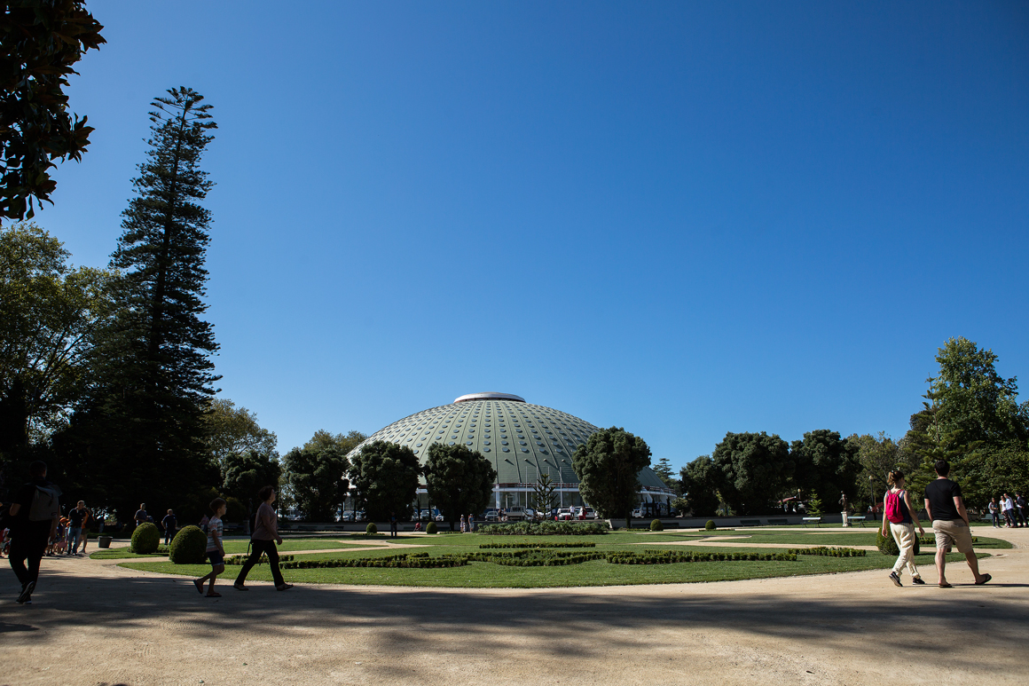Palácio de Cristal Gardens - Gardens and Parks