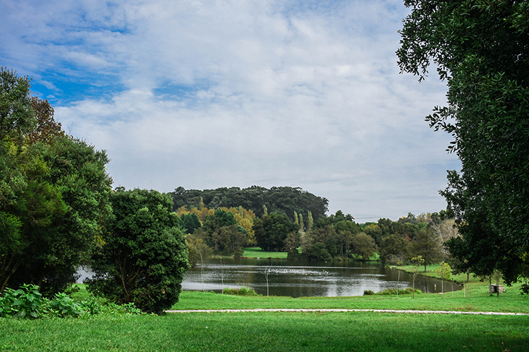 City Park - Gardens and Parks