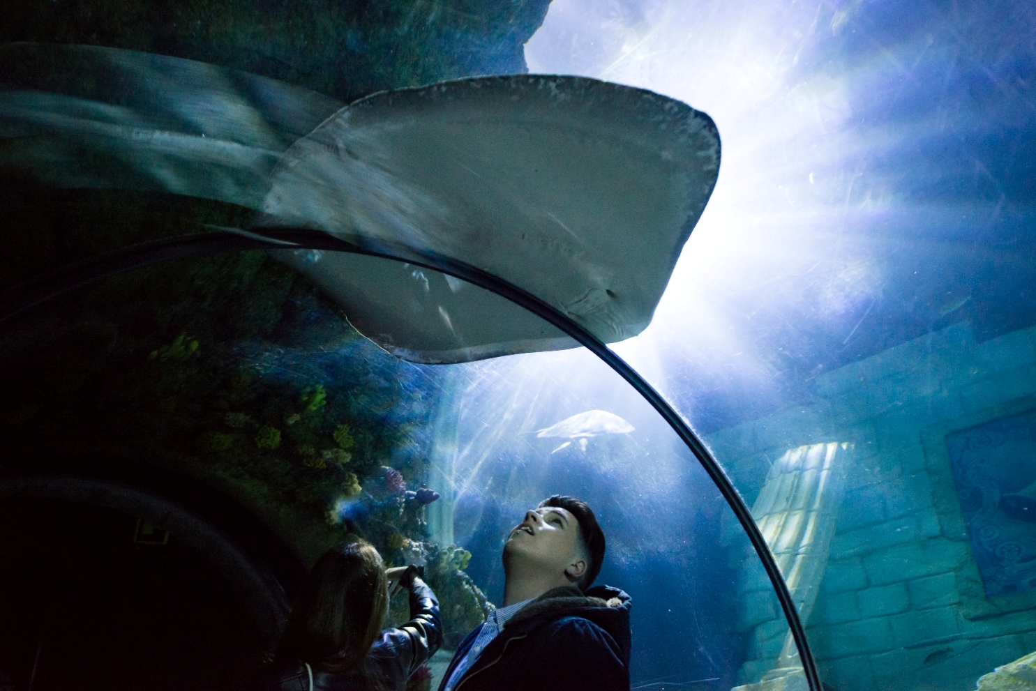 SEA LIFE Porto - Museums & Thematic Centres