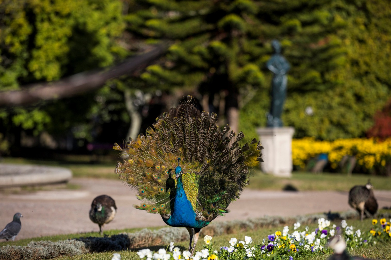 Palácio de Cristal Gardens