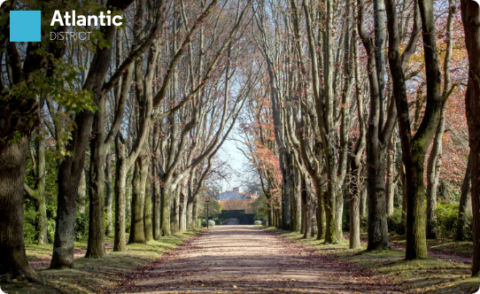 Serralves Park