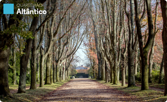 Parque de Serralves