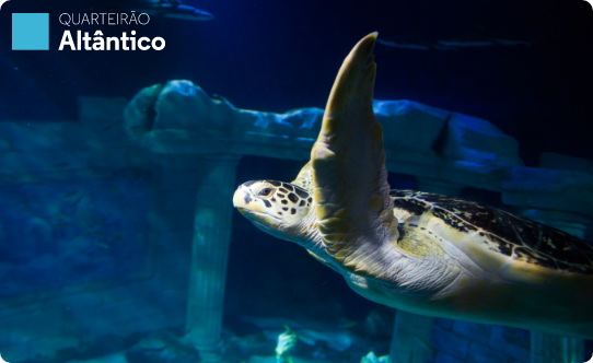 SEA LIFE Porto