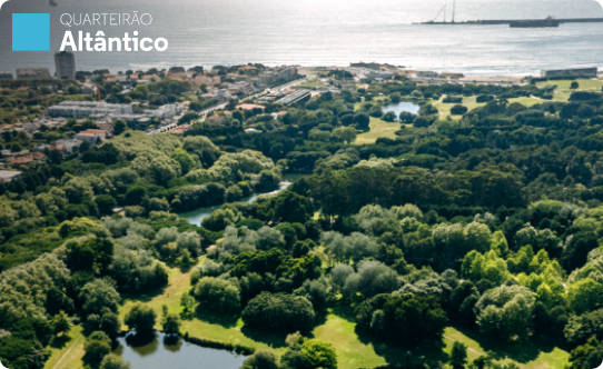 Parque da Cidade